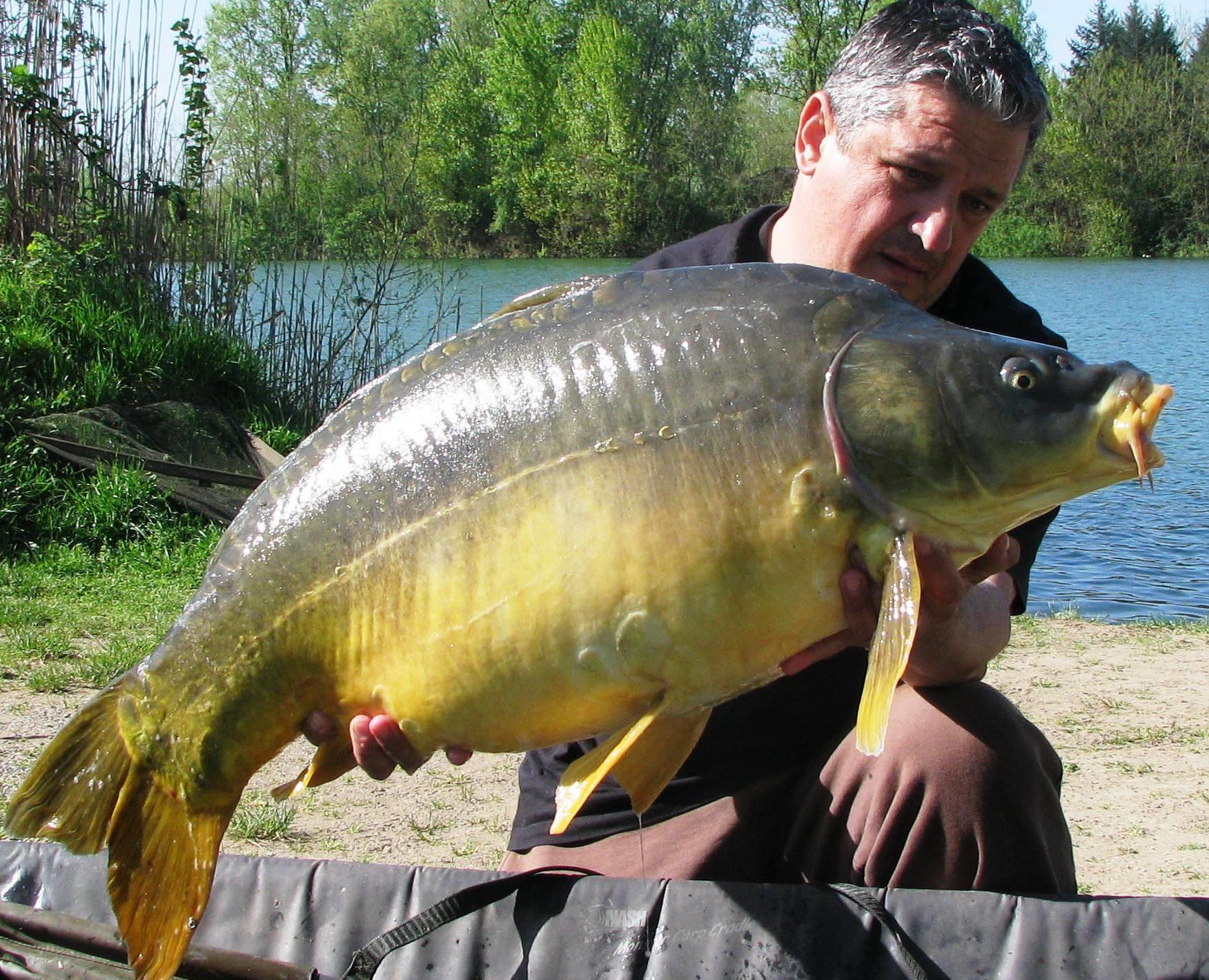 Pelagicevo Jezero  aprilie 2015 - img2038.JPG